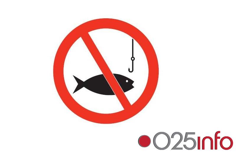 Ribe se pobunile - ne slažu se sa zabranom pecanja