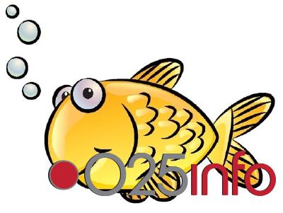 Pogled s apatinskih krovova: Rekapitulacija Ribarskih večeri