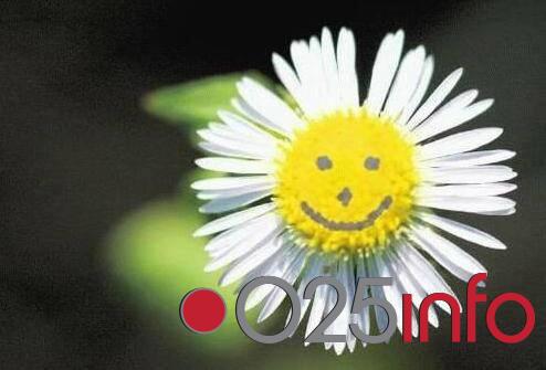 Vremenska prognoza za subotu, 29.06.2013