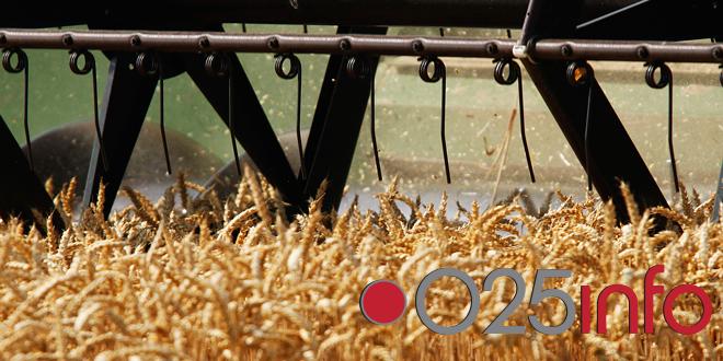 I visok prinos problem za državu?