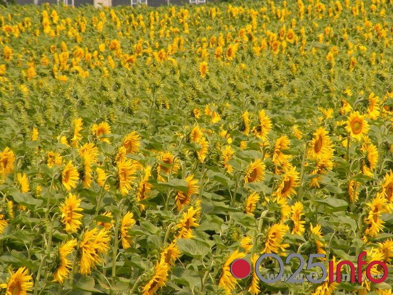 Vremenska prognoza za četvrtak, 18.07.2013