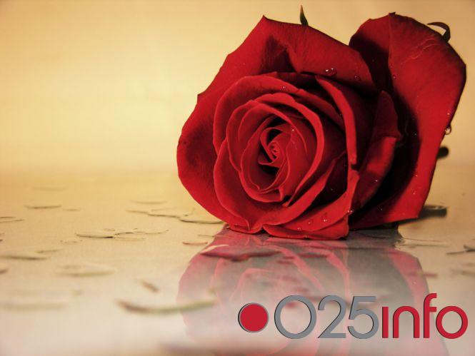 Udruženje \'Ruža crvena\' organizuje tribinu