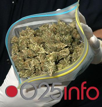 U Somboru zaplenjeno 24 kg marihuane