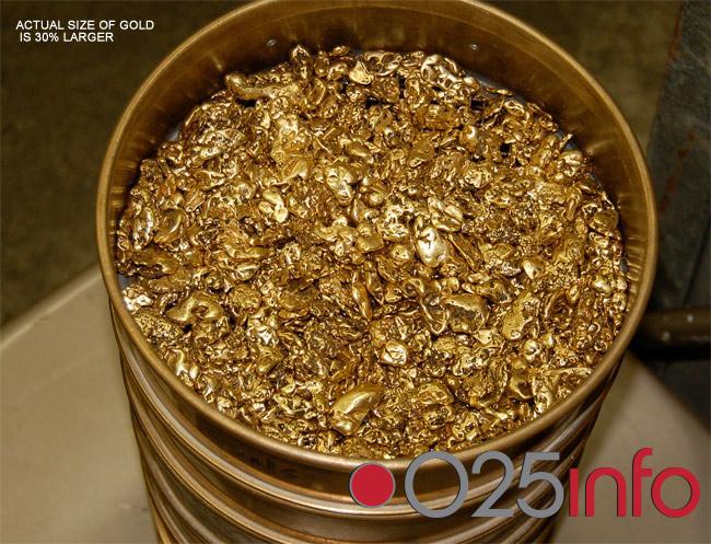 Carinici na Horgošu otkrili 10kg zlatnog grumenja