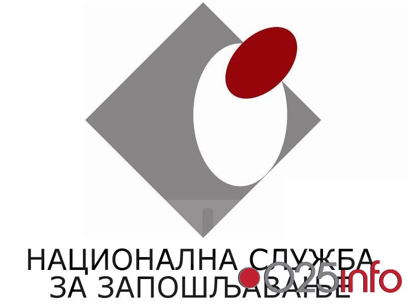 Anketa poslodavaca 2015