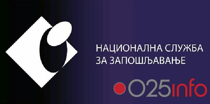 NSZ: Uspešno realizovani javni radovi