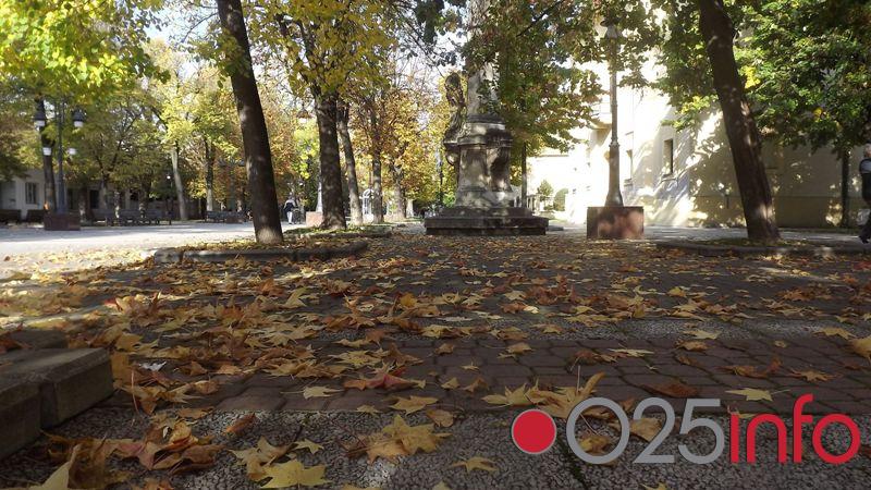 JKP ,,Naš dom'' - Jesenja akcija odvoženja lišća od 01. novembra