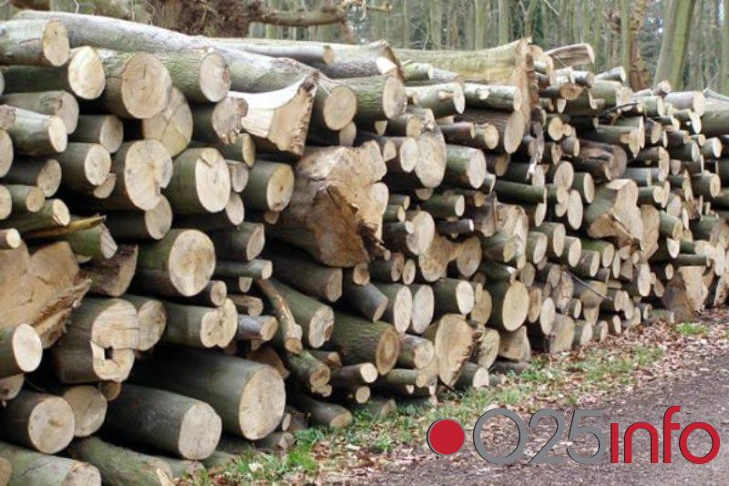 Potražnja diže cenu ogreva. U Apatinu metar drva i do 7000 dinara (video)