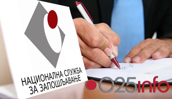 NSZ: Konkurs za sprovođenje javnih radova za nezaposlene i osobe sa invaliditetom