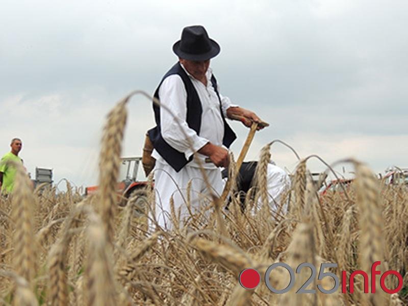 Tradicionalna manifestacija u Deronjama u slavu žetve