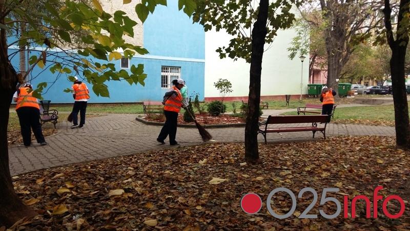 SBB fondacija u akciji čišćenja u Kuli