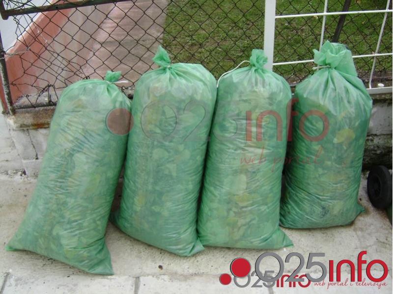 Od ponedeljka odvoz jesenjeg lišća