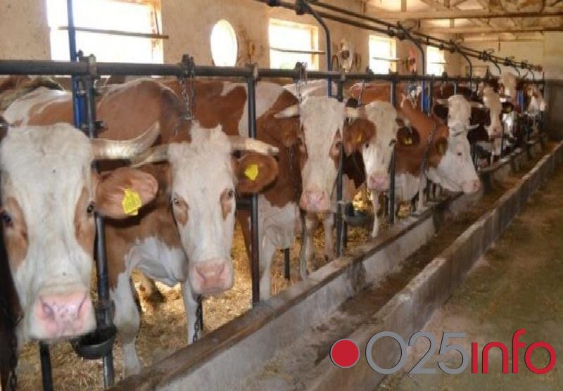 Od februara novi jeftini krediti za paore – Vojvođanski Fond za razvoj poljoprivrede obezbedio 600 miliona dinara