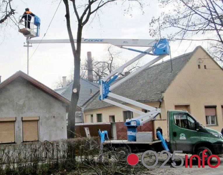 Somborsko Zelenilo nastavlja sa poslovima orezivanja i uklanjanja devastiranih stabala na području sela i grada