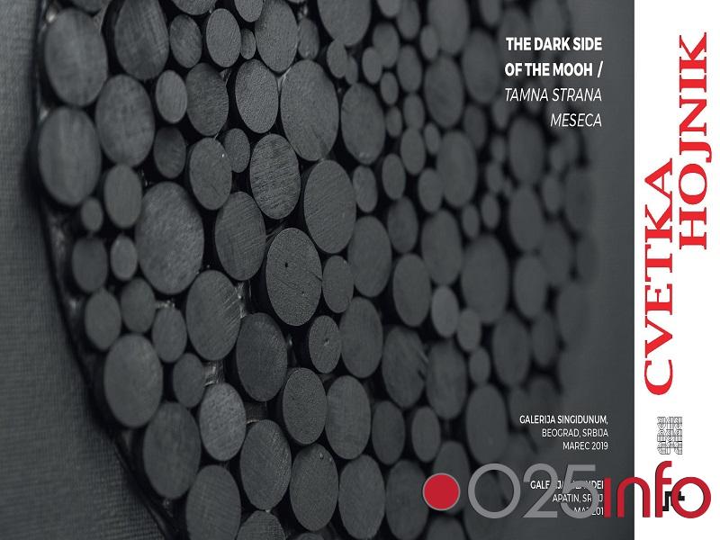 Tamna strana meseca u galeriji Meander