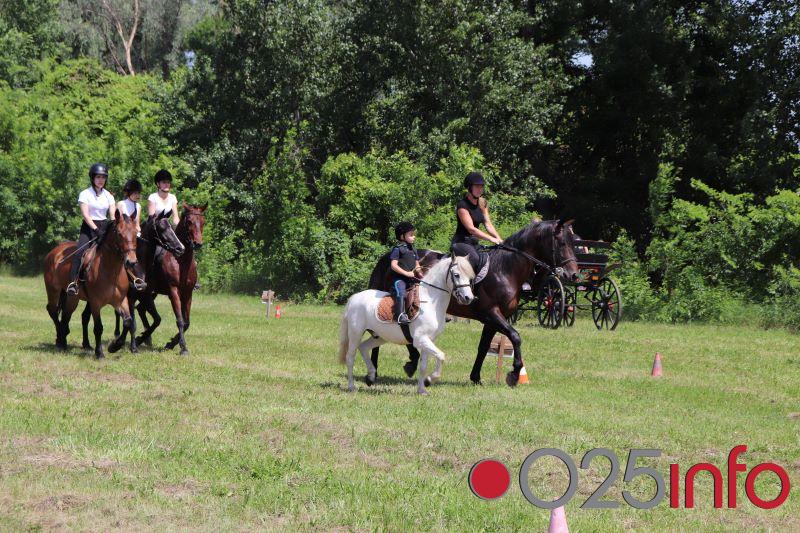 Održana druga Fijakerijada u Apatinu 