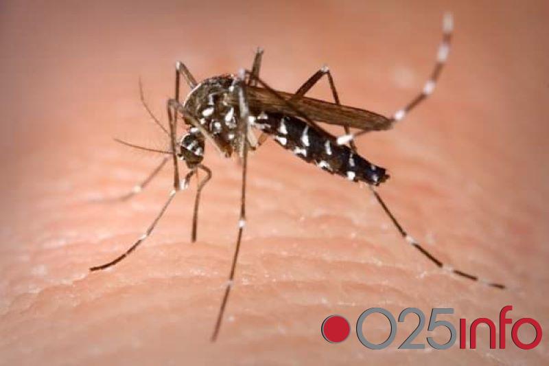 Tretman odraslih komaraca u Odžacima 