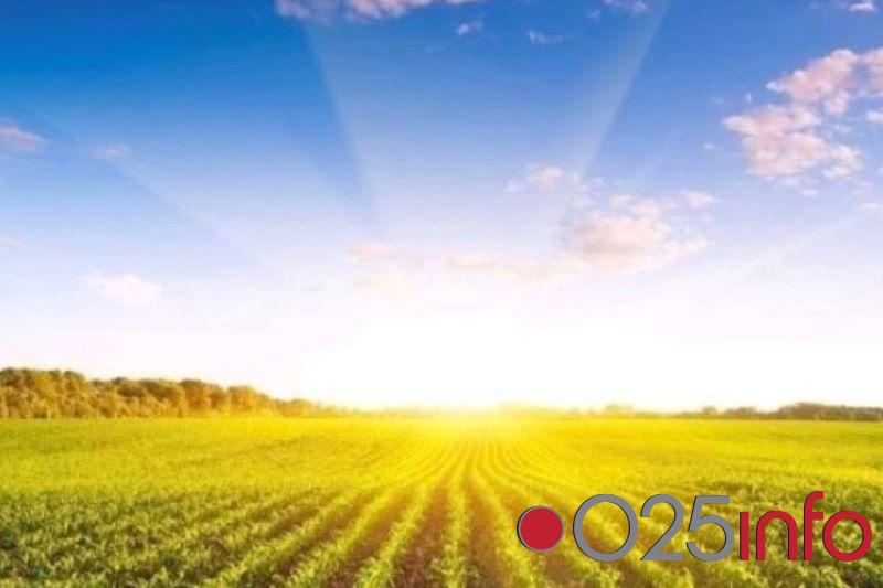 Vedro i veoma toplo danas u Apatinu  