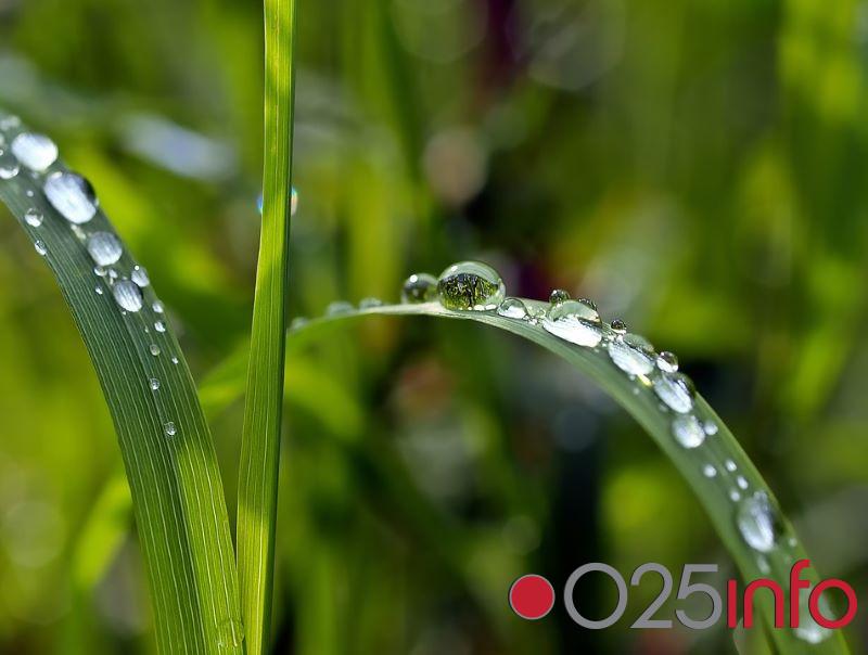 U Apatinu danas pretežno vedro, u večernjim časovima kiša   