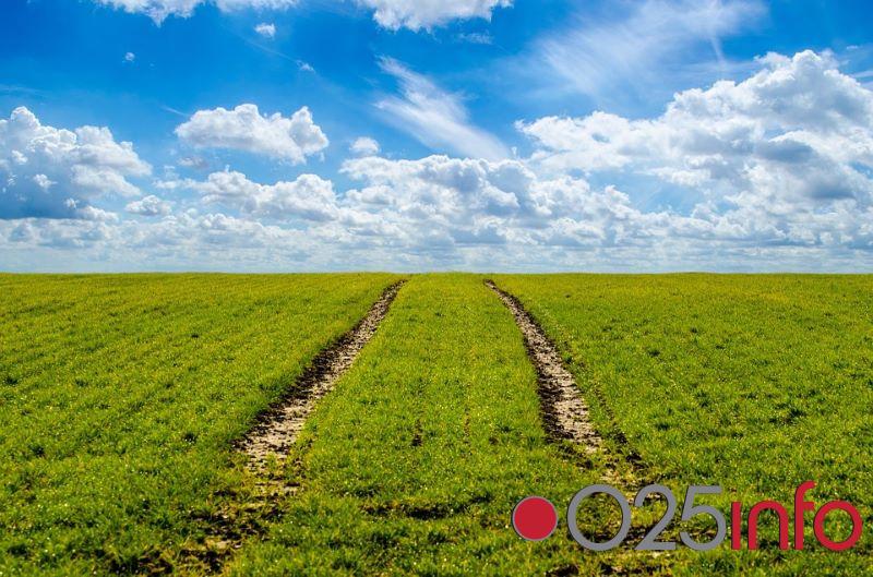 Oblačno i hladno u Apatinu 