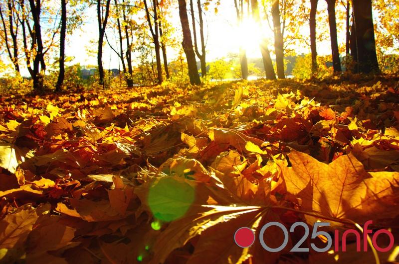 Sunčano i toplo danas u Apatinu 