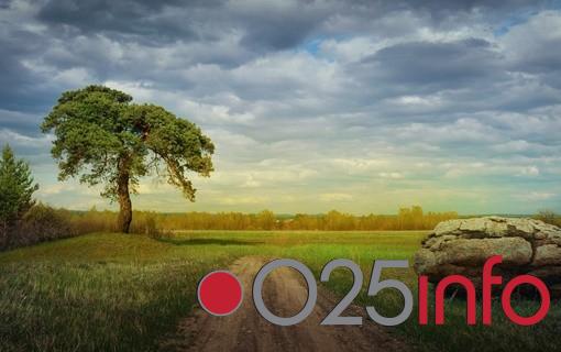 Oblačno, bez kiše u Apatinu 