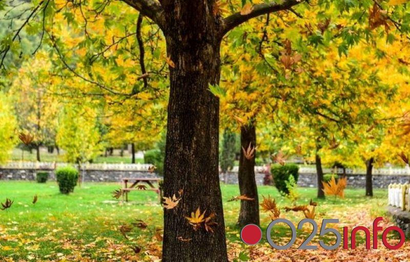 U Apatinu oblačno, bez padavina 