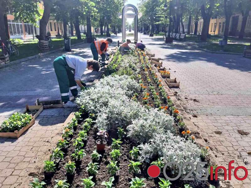 Prolećno ulepšavanje Apatina