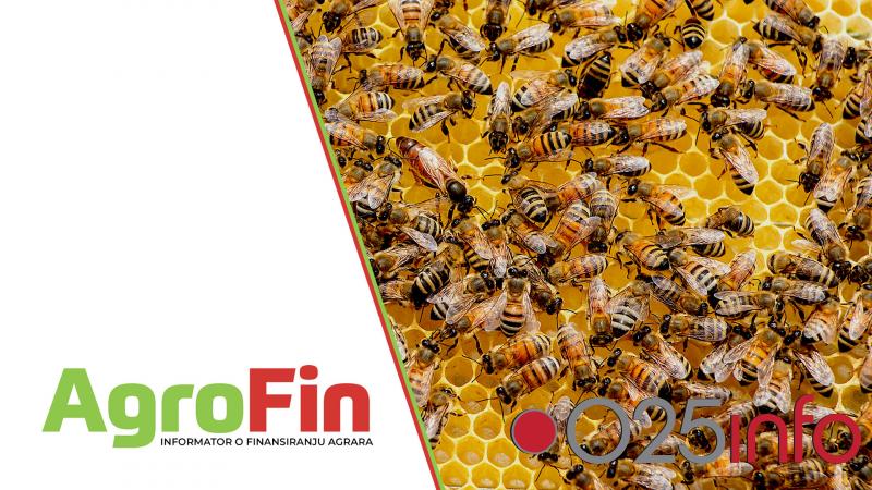 Pčelari od marta mogu da računaju na značajnu podršku investicijama u proizvodnju
