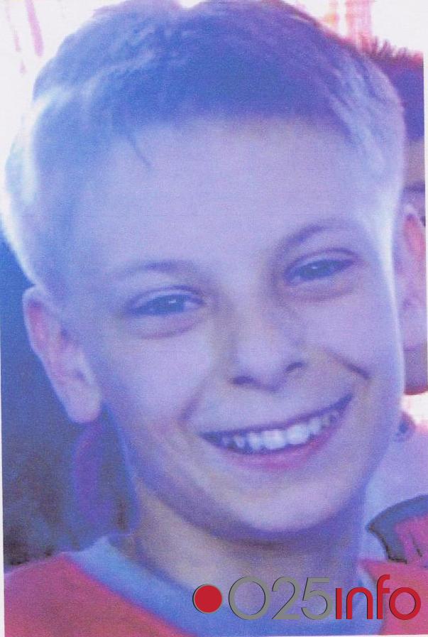 Potrebna pomoć Nemanji