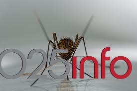  Tretman larvi komaraca na teritoriji Opštine Apatin