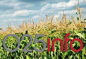 Kiše i pad temperature prijaju biljkama