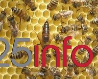 19. Sajam pčelarstva u Somboru