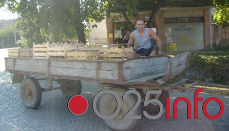 Kupusinci prinuđeni da industrijsku jabuku prodaju za sedam dinara nakupcima