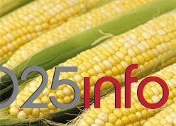 Rast prometa na Produktnoj berzi