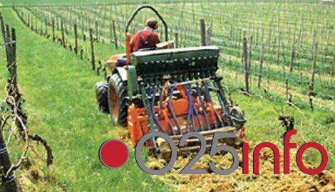 Zbog stečaja bez posla će ostati još hiljadu radnika