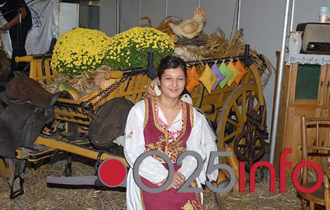 Kulturno leto u somborskim selima