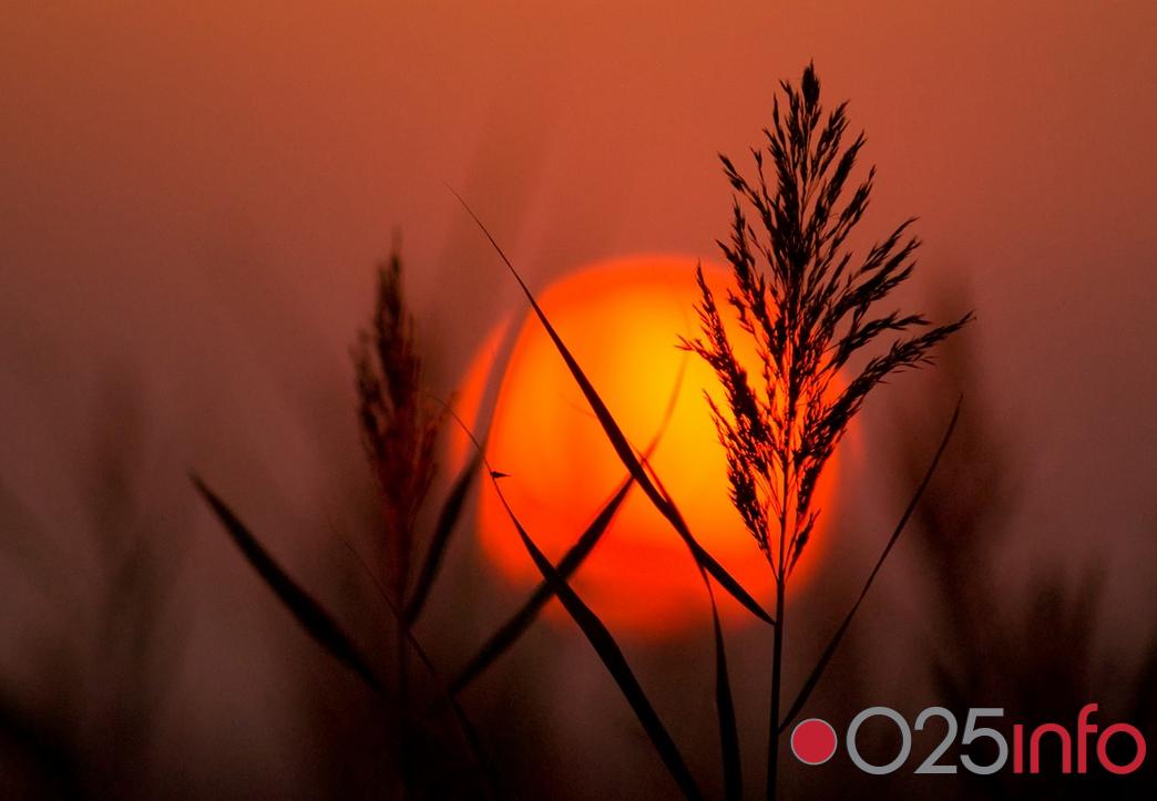 Izložba fotografija \' NATURA PANNONICA III\'