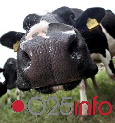 Popis poljoprivrede Srbije počinje 1. oktobra