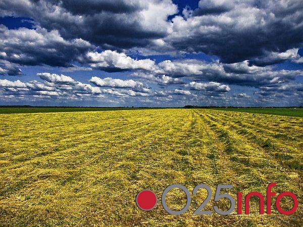 Zarade u Vojvodini daleko ispod republičkog proseka