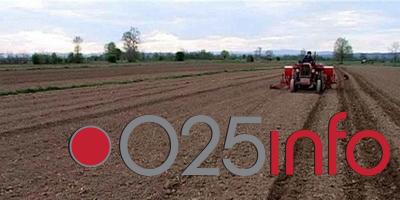 Emirati kupuju i \'Mladi borac\' iz Sonte, ne zna se šta će biti sa radnicima