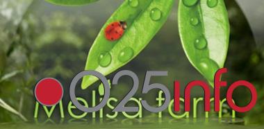 \'Melisa farm\' - svetsko a naše