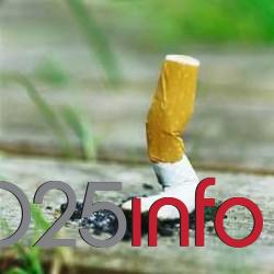 \'Domaćinstva bez duvanskog dima\'